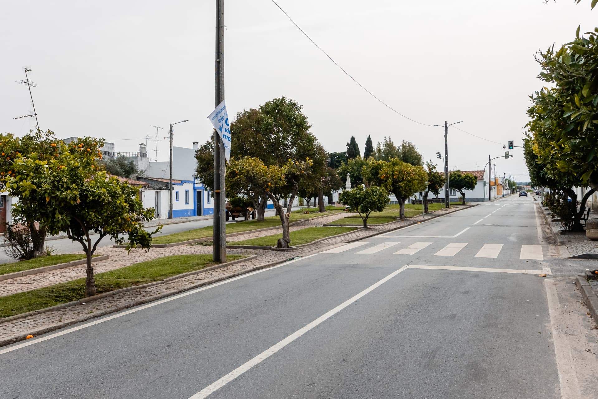 Rua arborizada junto à casa